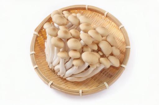 ぶなしめじ(カゴ入り) ぶなしめじ(カゴ入り)の写真