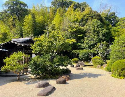 庭園 庭園 庭,木々,草の写真素材