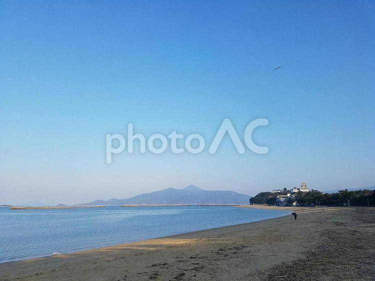 海と城と空 城,海,風景の写真素材