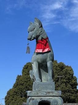 京都　伏見稲荷　狛狐 京都,神社,狐の写真素材