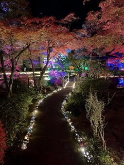 越前陶芸村　陶あかり　福井県陶芸館 福井,越前市,伝統工芸の写真素材