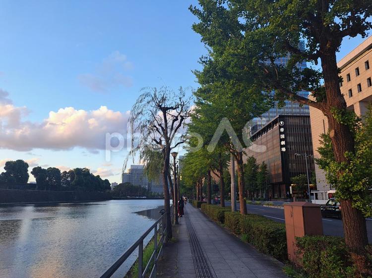 夕暮れ時の日比谷皇居周辺 東京,日比谷,皇居の写真素材