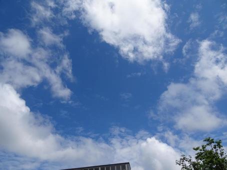 五月の雲-3 五月の雲-3の写真