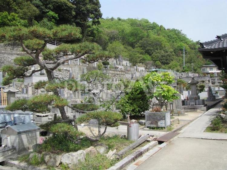 【風景写真】壽徳寺(広島県三原市)の風景 壽徳寺,日蓮宗,神社仏閣の写真素材
