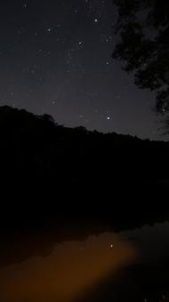 沼に映るはくちょう座の奇跡 沼に映るはくちょう座の奇跡の写真