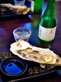 新鮮で美味しい生牡蠣と冷酒 新鮮で美味しい生牡蠣と冷酒 カキ,牡蠣,生牡蠣の写真素材