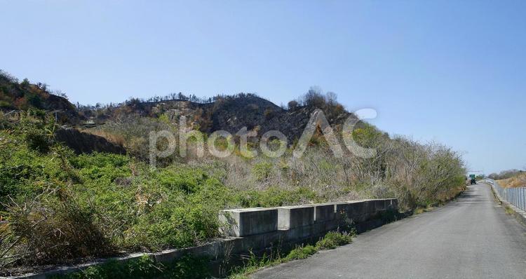 令和7年３月今治市山火事-02 空,自然,木の写真素材