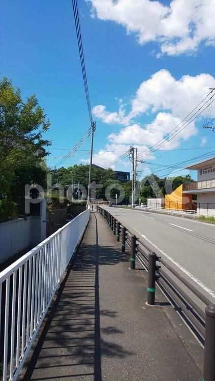 地方の風景・志免町 地方,風景,歩道の写真素材