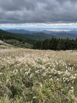 ススキの高原 秋,空,ススキの写真素材