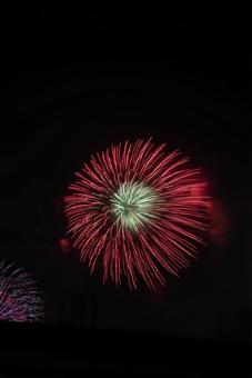 夜空に咲く大輪の花火 花火,花火大会,夜空の写真素材