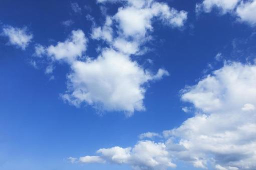 秋の空27 秋の空27 秋,青空,空の写真素材