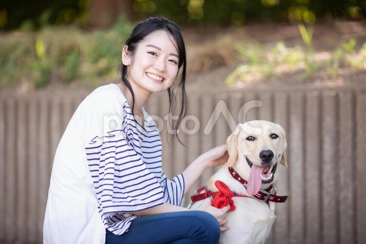犬の散歩をする女性 犬,犬の散歩,散歩の写真素材