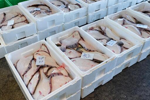 水産物のセリ セリ,魚介類,水産物の写真素材