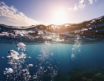 水中と水面の断面 水中と水面の断面の写真