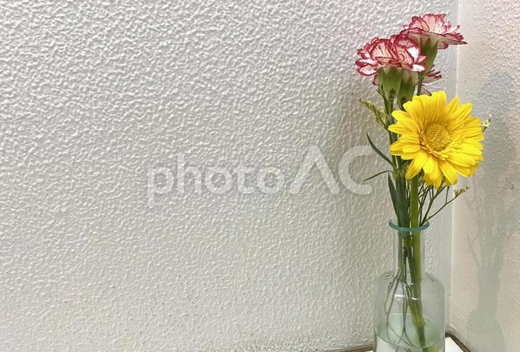 花瓶の花　飾り花　 花瓶の花,飾り花,インテリアの写真素材