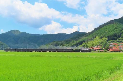 SLやまぐち号 D51 sl,d51,やまぐち号の写真素材