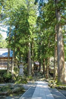 永平寺 参道と勅使門（福井） 永平寺,寺院,禅寺の写真素材