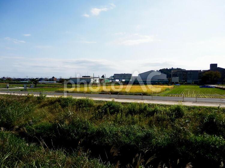 田園の風景 収穫,田んぼ,田舎の写真素材