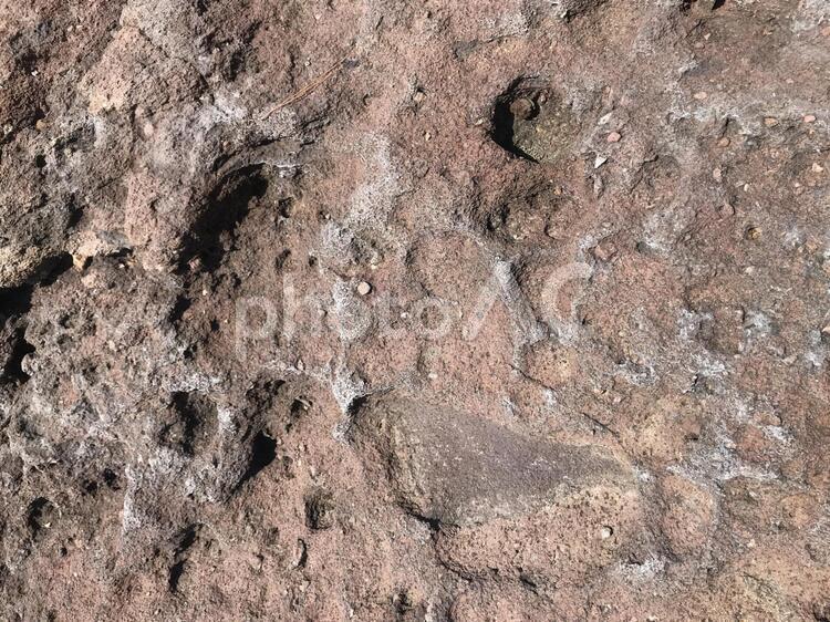 くぼみのある岩 岩,岩肌,ごつごつの写真素材