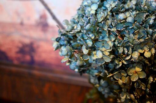 紫陽花のドライ ドライフラワー,紫陽花,ドライの写真素材