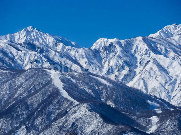 冬の白馬村　冠雪した北アルプス 冠雪,北アルプス,青空の写真素材