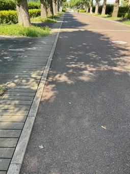 遊歩道と木陰 遊歩道と木陰 晴天,屋外,並木道の写真素材