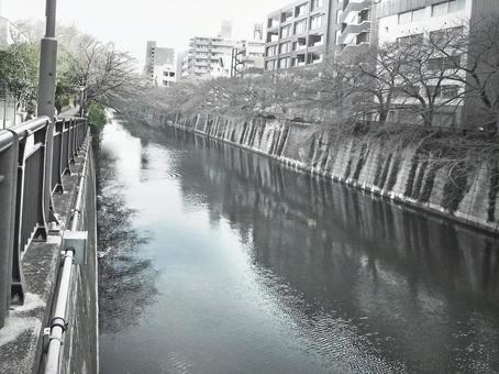 東京 目黒川 東京 目黒川 目黒川,河川,川の写真素材