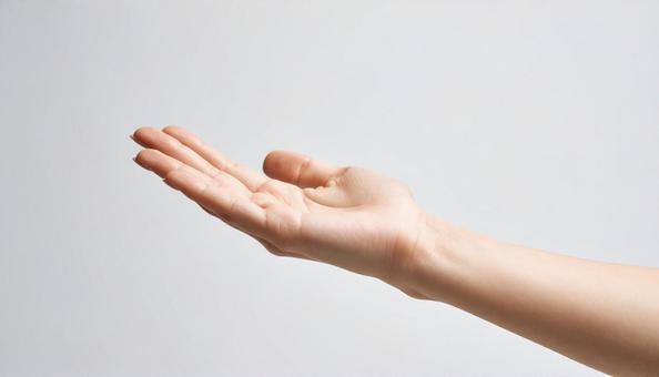 手のひら 女性6 手のひら 女性6の写真