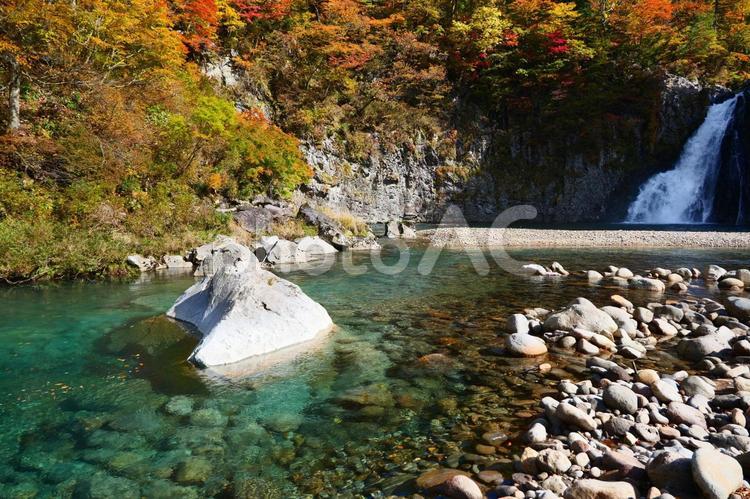 法体の滝の紅葉 法体の滝,滝,秋の写真素材