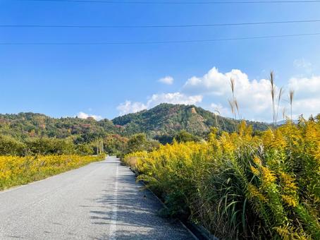 彦根市の田舎の道路 彦根市の田舎の道路の写真