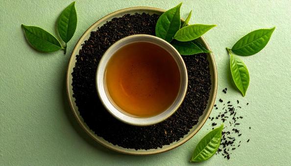 ほうじ茶 ほうじ茶の写真