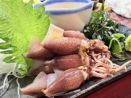 富山で食べたホタルイカ ホタルイカ,蛍烏賊,富山湾の写真素材