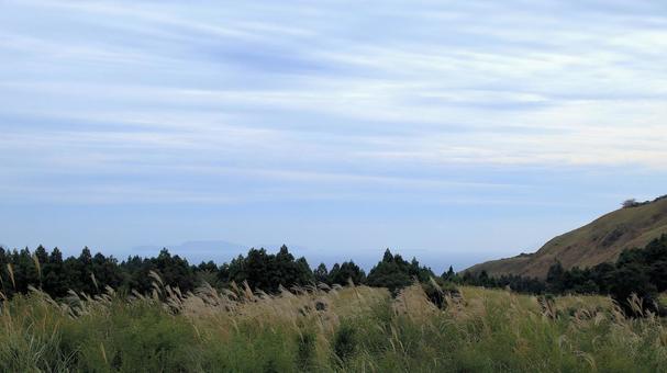 稲取細野高原のすすき野原　5 稲取細野高原,ススキ,秋の写真素材