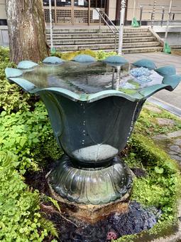 永平寺の水受け 永平寺の水受けの写真