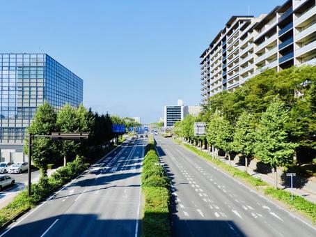 つくば市の茨城県道237号花室牛久線2 つくば市の茨城県道237号花室牛久線2 土浦学園線,つくば市,筑波研究学園都市の写真素材