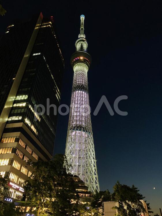夜のスカイツリーと三日月 背が高い,何人もありません,スカイラインの写真素材