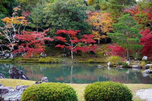 晩秋の京都の庭園(嵐山) 晩秋の京都の庭園(嵐山) 秋,紅葉,庭園の写真素材