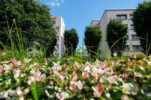 埼玉県庁の風景 埼玉県庁,埼玉県庁舎,県庁の写真素材