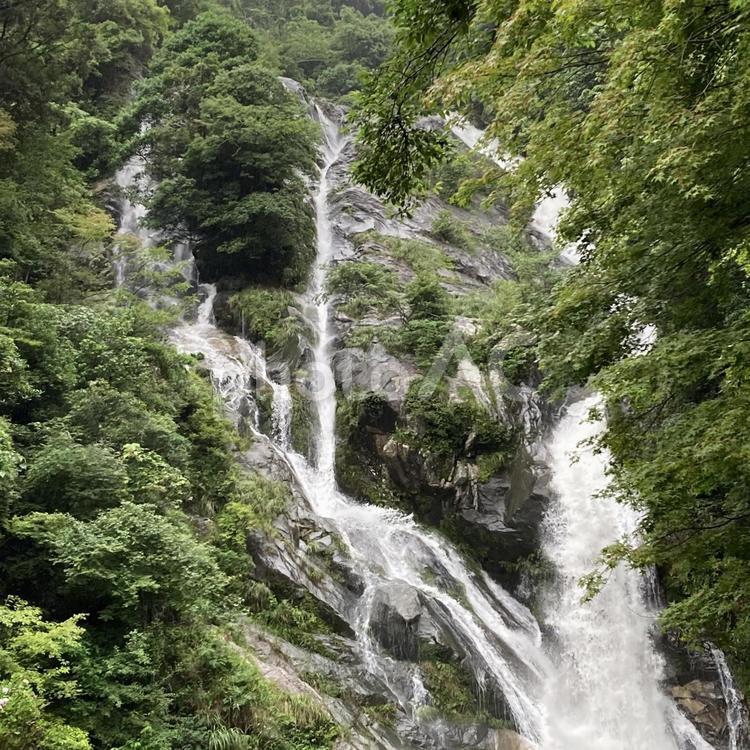 見帰りの滝〜6月 見帰りの滝,滝,水の写真素材