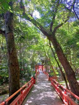 夏の宇佐神宮 夏の宇佐神宮の写真