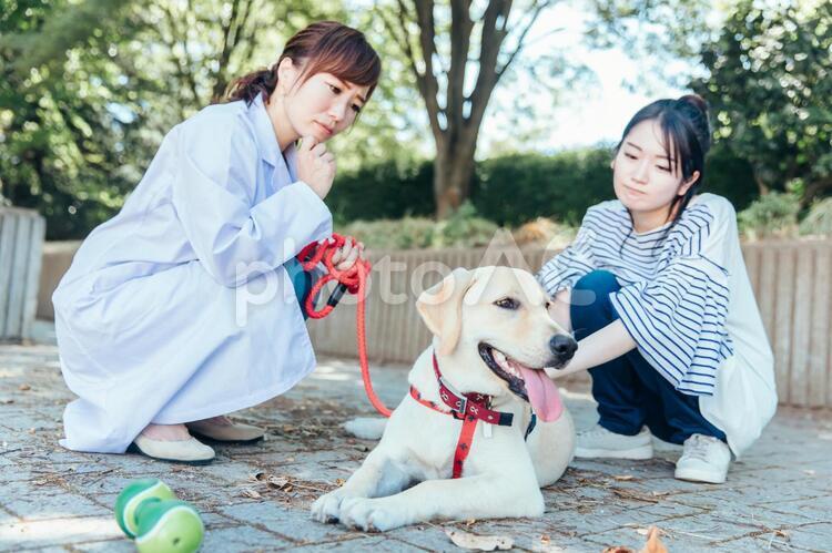 獣医さんと飼い主 獣医,獣医師,動物病院の写真素材