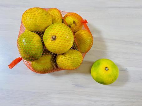 袋から飛び出したみかん2 袋から飛び出したみかん2の写真