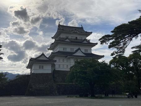 小田原城 小田原城の写真