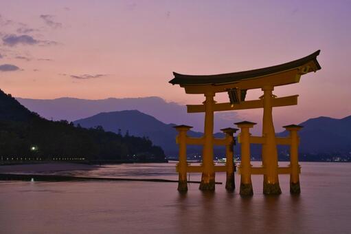宮島：厳島神社・大鳥居・夕焼け 宮島,厳島神社,日本三景の写真素材