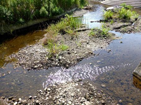 横浜市栄区上郷町近辺の川の流れ 川,河川,水の写真素材