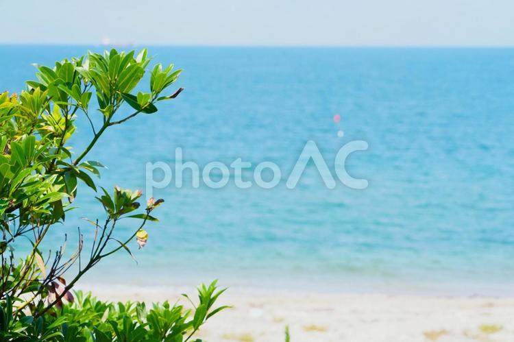 人気（ひとけ）の消えた海水浴場 海,海水浴場,夏の終わりの写真素材