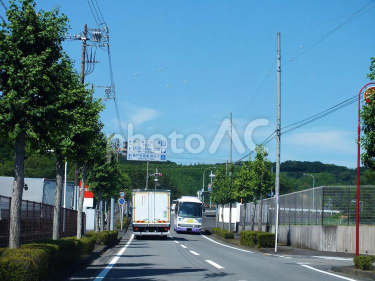 緑の街路樹が続く街並み 街路樹,トラック,バスの写真素材
