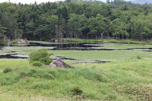 Photo, shiretoko lake, a lake, shiretoko, 