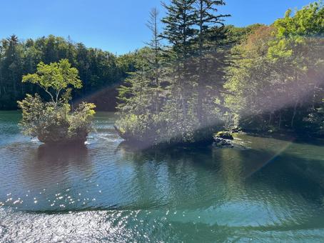 波打つ湖面と森の木々 波打つ湖面と森の木々 湖,湖面,空の写真素材