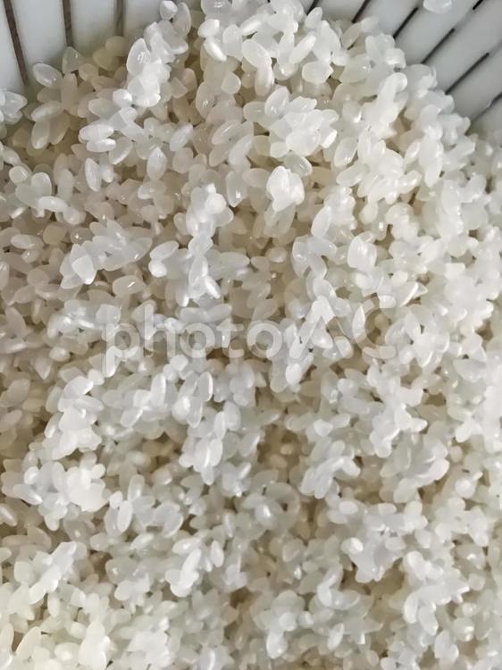 米を研でいる途中、米、食品、ざるの中で米、米研ぎ 米とぎ,米を研いでいる,米の写真素材